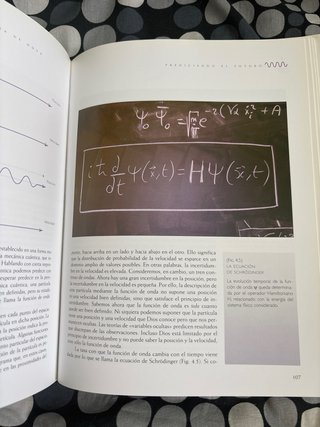 El universo en una cáscara de nuez