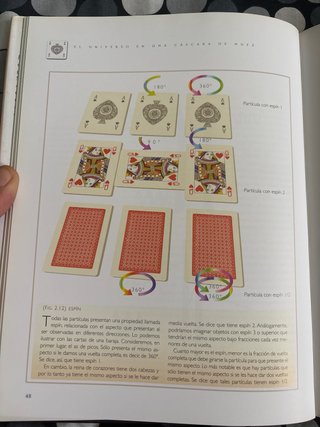 El universo en una cáscara de nuez