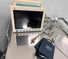 Monitor Carro Paradas