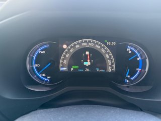Toyota RAV4 2022