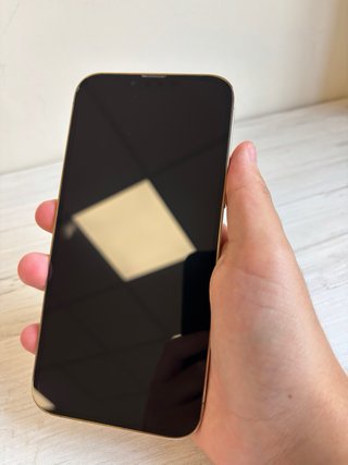 iPhone 13 Pro Max 256GB |Tienda |Garantia