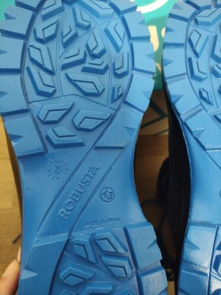 Botas de seguridad Robusta negras y azules