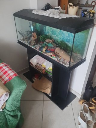 Acquario con mobile incluso