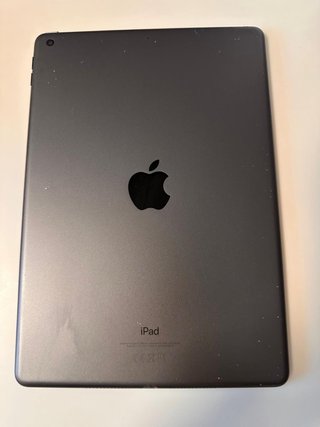 iPad Apple 256GB Gris Espacial