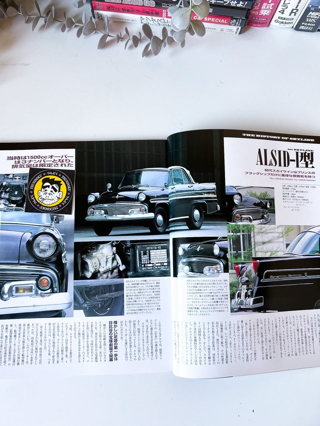 Libro The History of Skyline, 40 Years (1957-1997)