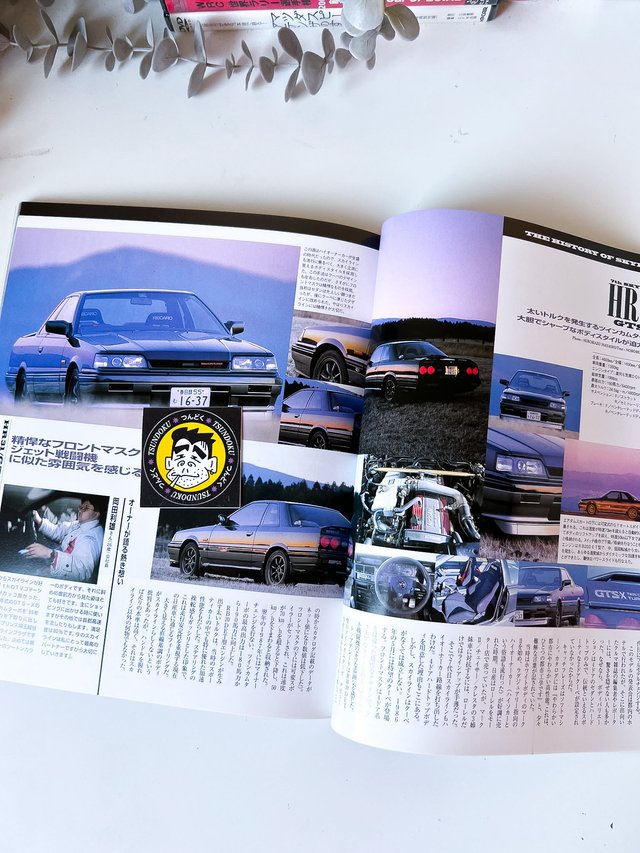 Libro The History of Skyline, 40 Years (1957-1997)