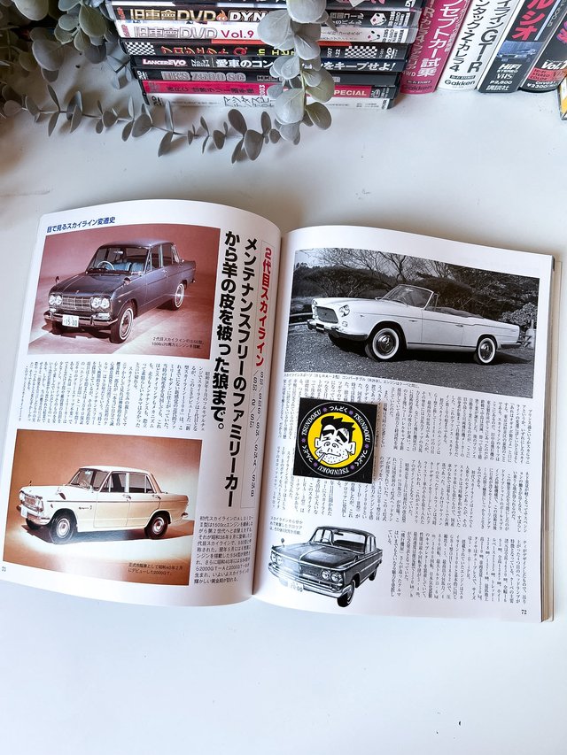 Libro The History of Skyline, 40 Years (1957-1997)