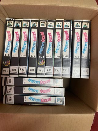 Colección 13 Cintas VHS Belfy y Lillibit
