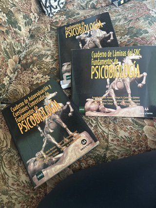 Fundamentos de psicobiologia