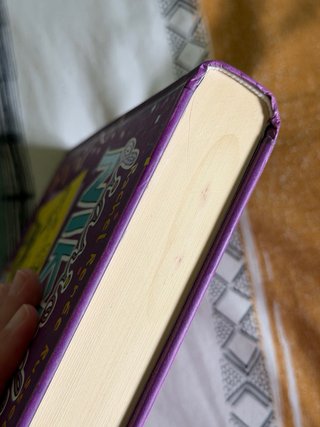 Diario de Nikki 2