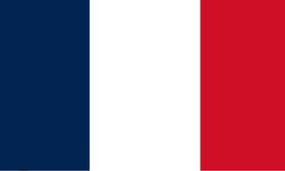 Clases particulares de francés y preparación delf