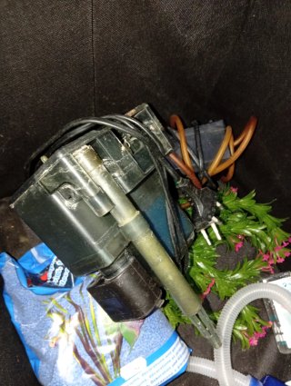 Acuario con complementos