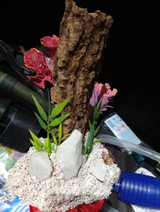 Acuario con complementos