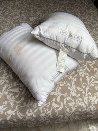 Juego de 2 almohadones de plumón