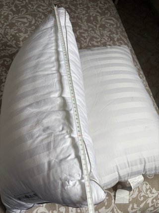 Juego de 2 almohadones de plumón