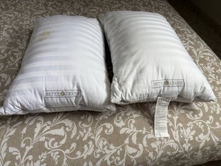 Juego de 2 almohadones de plumón