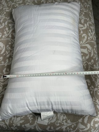 Juego de 2 almohadones de plumón