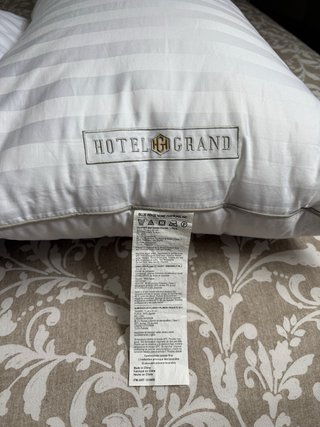 Juego de 2 almohadones de plumón
