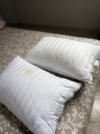 Juego de 2 almohadones de plumón