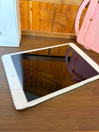 Apple iPad Air mini