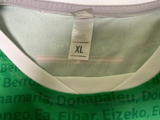 Matchworn Bidasoa Irún Balonmano