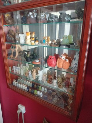 64 Buhos - Collezione vintage di gufi