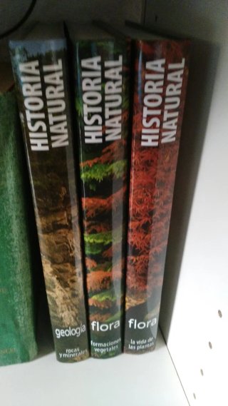 Lote de libros