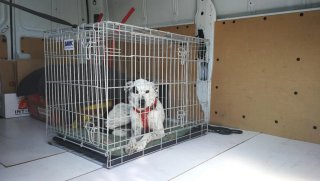 Transportín Savic Dog Residence para Perro