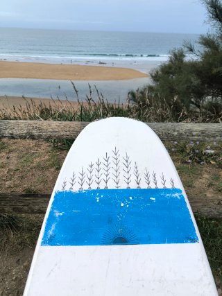 Mini Malibú BIC Surf