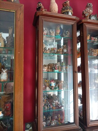 Collezione di 65 gufi Gufi 4