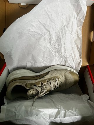 Zapatillas Nike Downshifter 14
