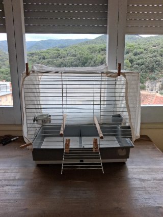 Mi Ninfa vende su casita (para loritos y ninfas)