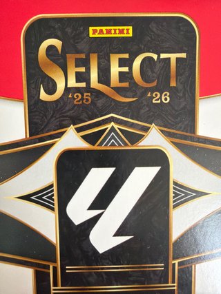 Panini Select 25/26