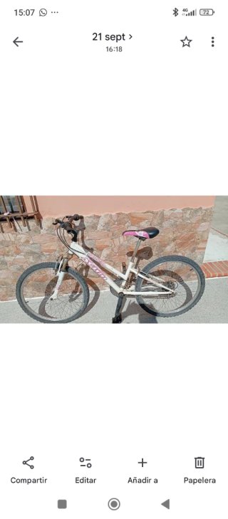 Bicicleta de Montaña Adulto