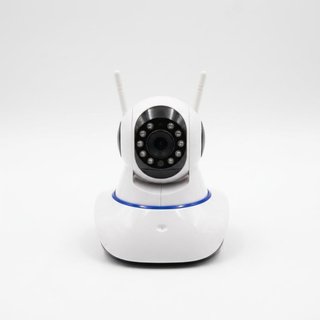 Telecamera IP Wi-Fi Motorizzata Interno
