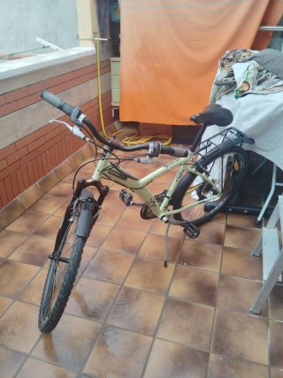 Bicicleta de Montaña o paseo