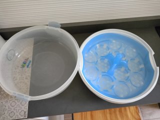 Esterilizador microondas Philips Avent