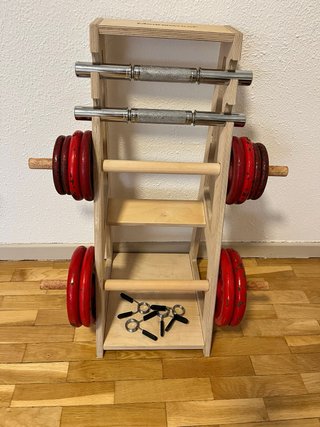 Lote Mancuernas Salter + 28 kg Discos Hierro