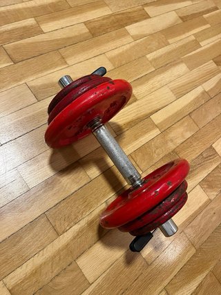 Lote Mancuernas Salter + 28 kg Discos Hierro