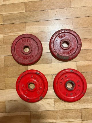 Lote Mancuernas Salter + 28 kg Discos Hierro