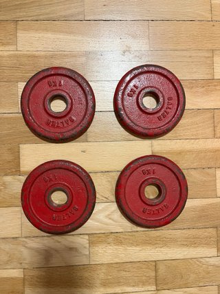 Lote Mancuernas Salter + 28 kg Discos Hierro
