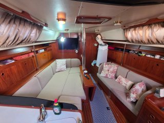 Furia 37.2 - Velero
