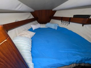 Furia 37.2 - Velero