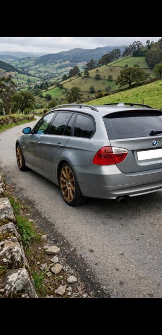 BMW Serie 3 2007