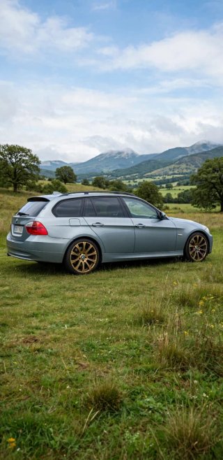 BMW Serie 3 2007