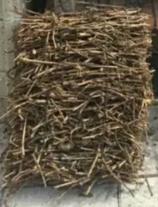 Alpacas de Sarmiento para Parrilladas