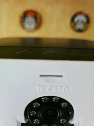 Comedero Automático para Gatos