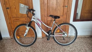 Bicicleta R26 con cesta