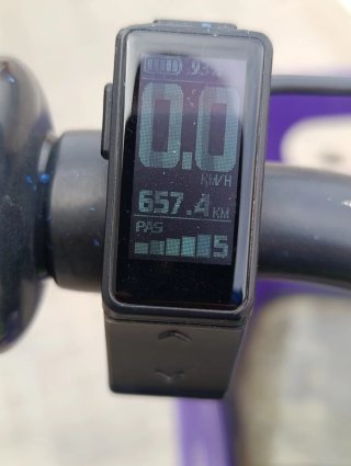 Bicicleta Eléctrica Paseo Verde/Morado Nueva