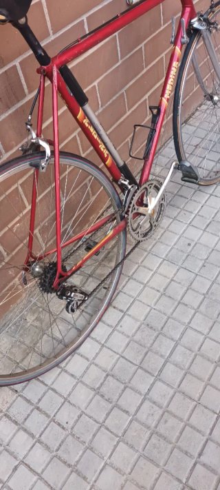 Bicicleta de Carretera Clásica antiguegat 43 añod